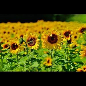 ✨Welcome to my closet!!✨MAKE OFFERS